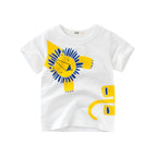 9076-lion / 90(1-2 years)