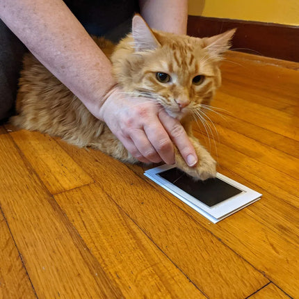Подложка за мастило Paw Print Clean Touch, сувенир за собственик на куче или котка, комплект за изработка на отпечатъци от нос и лапа без мастило