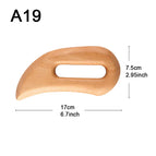 A19