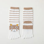3 pairs color05 / 3-6y