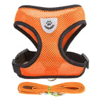 ORANGE / S