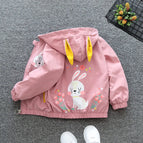 As the picture 3 / 3T(Size 100)