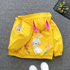 As the picture 2 / 6T(Size 130)