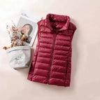 Burgundy / L
